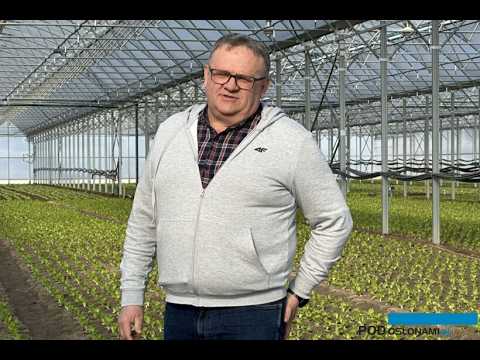 Papryka z rejonu Potworowa